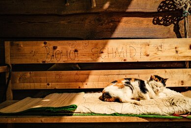 Besuch bei Familie Schmidt | © SONNENTOR